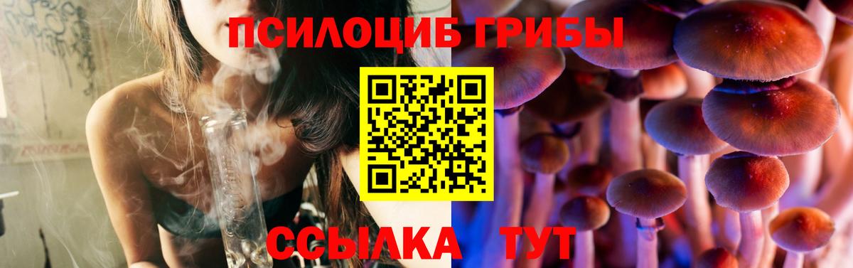 Галлюциногенные грибы MAGIC MUSHROOMS Михайловск